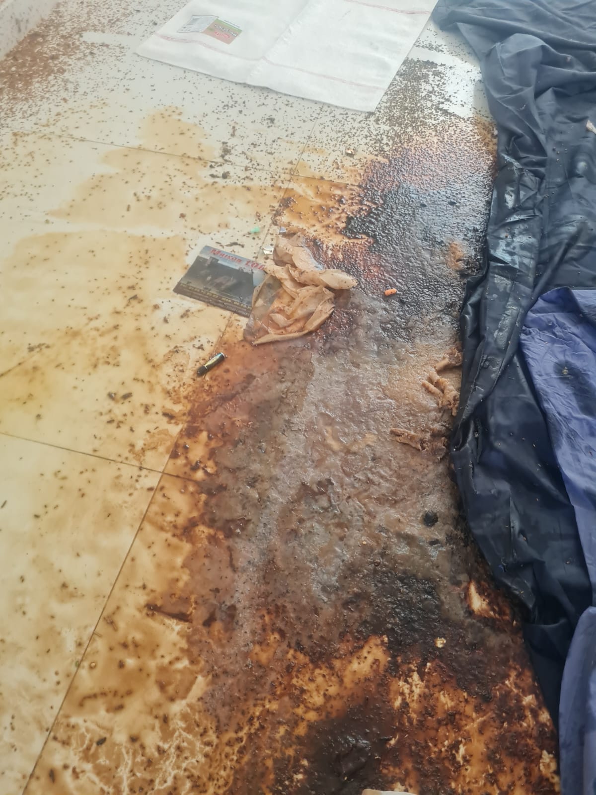 SOS DC : la décontamination au service de la sécurité à Clamart et ses environs WhatsApp Image 2025 04 18 A 17.15.45 1a9338eb